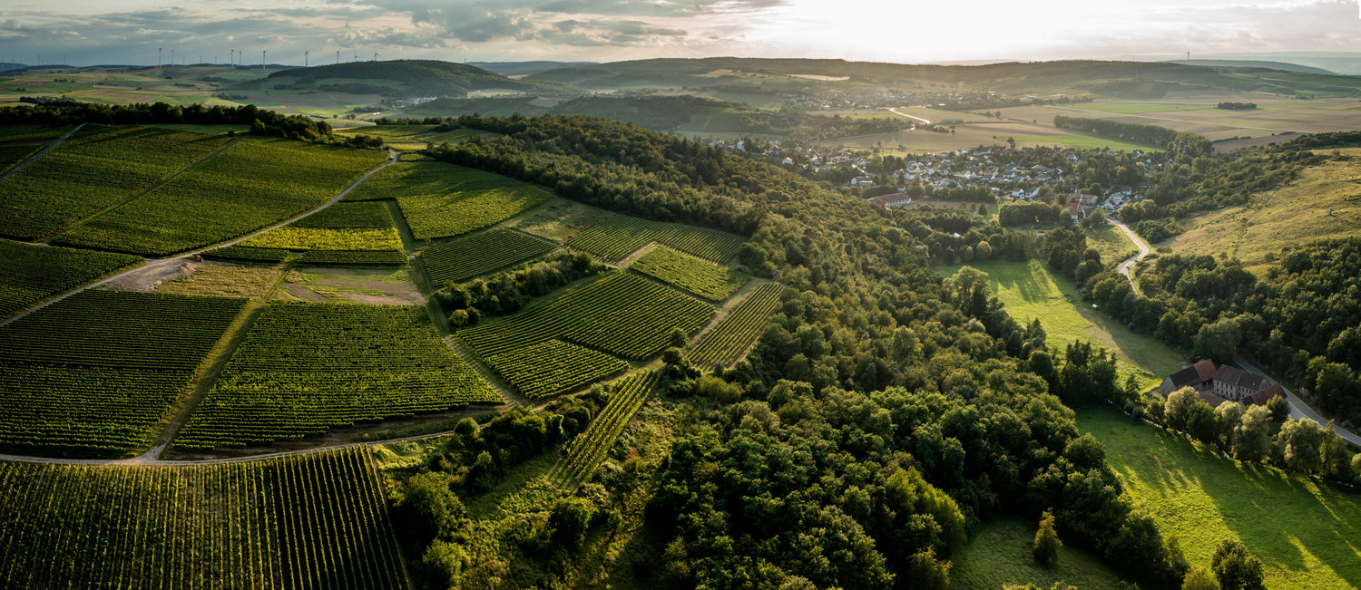 Siefersheimer Höllberg - Blick auf die Obermühle Lindenpark © Rheinhessenwein, Torsten Silz