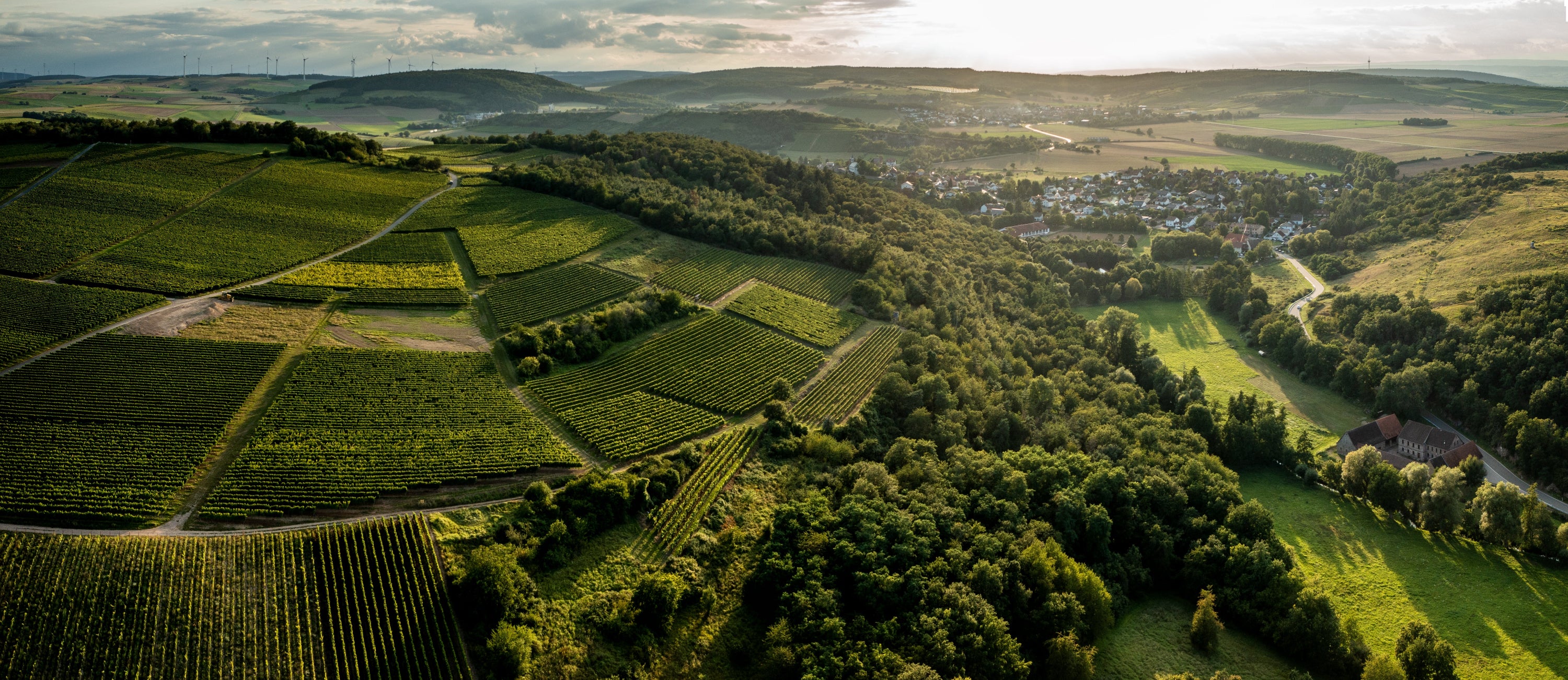 Siefersheimer Höllberg - Blick auf die Obermühle Lindenpark © Rheinhessenwein, Torsten Silz